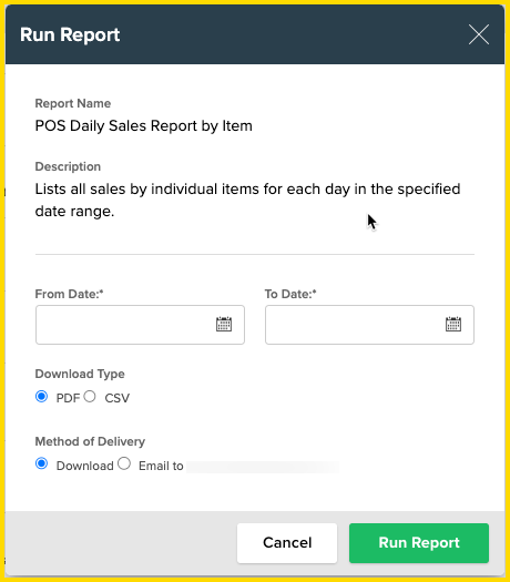 POS Daily Sales Report by Item